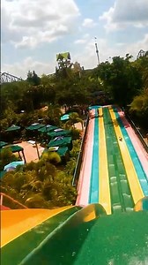 We took the plunge from the top at Aquatica! 🔥🌊