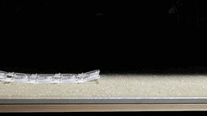 Self-folding "Rollbot" paves the way for fully untethered soft robots