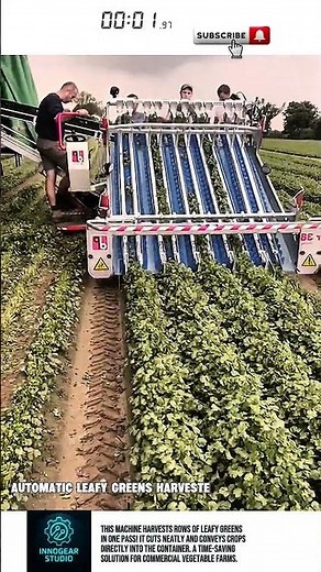 Automatic Leafy Greens Harvester – Fast & Clean!