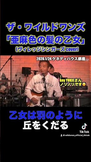ザ・ワイルドワンズ/亜麻色の髪の乙女（ヴィレッジシンガーズカヴァー） #グループサウンズ #ワイルドワンズ #島谷ひとみ #昭和歌謡 #亜麻色の髪の乙女
