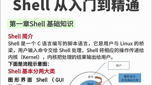 shell从入门到精通，看完这八页纸你就悟了！