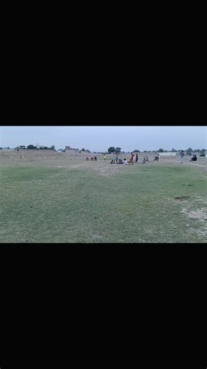 Winning the 100 Meter Race: Tips for Success