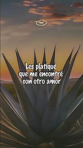 Vicente Fernández - Acá Entre Nos (Letra/Lyrics) #shorts