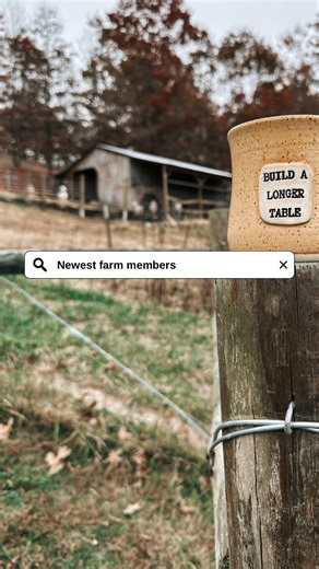 Jones Roots Farmhouse on Reels