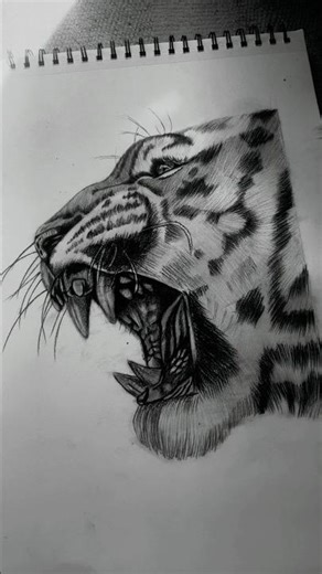 Part2 Tiger sketch 🐯🐅 #art #drawing #pencilsketch #sketch #artist #sketching