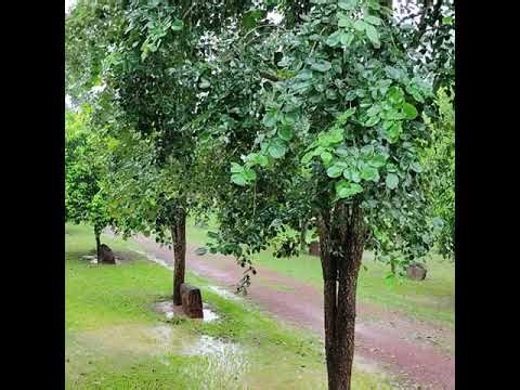 Jyotish - Rahu aur Pingla Nadi - Sam Yogi