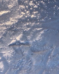 16 reactions | Und wie gleitet ihr so ins Wochenende?   #ActiveO2 #GoPlayOutside | Active O2 | Facebook