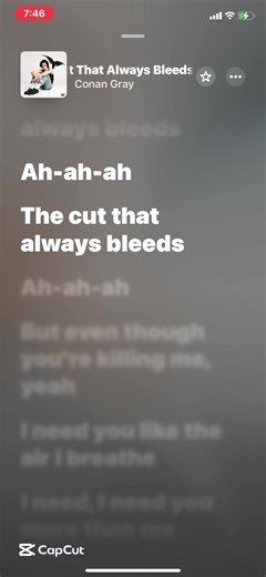 The Cut That Always Bleeds by Conan Gray