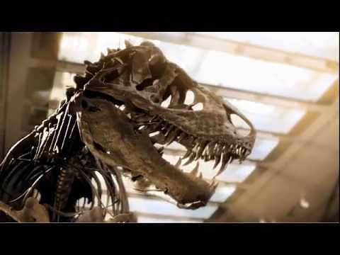 Dinosaur Hall Now Open