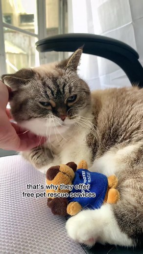 @Roto-Rooter rotorooter provides a free emergency pet rescue service! Check out rotorooter.com/pet-rescue for more info! #rotorooter #ad