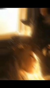 270K views · 14K reactions | ¿¿¿ La Mejor pareja para Virgo??? Comenta cual crees que sea el mas compatible, y regalame un me gusta, sigueme y comparte.. #virgo #facebookviral #tarot #reels #Youtube #instagram #viralreelsシ #facebookviral #trendingvideo #trending | Ruchell Juarez | Facebook