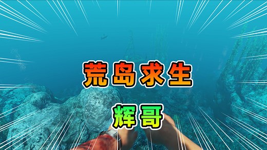 【荒岛求生】辉哥的生存故事_荒岛求生01：我接受了新的挑战，在太平洋的一片海域，生存100天