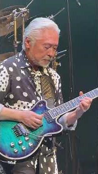 Casiopea Guitar Solo LIVE 2026