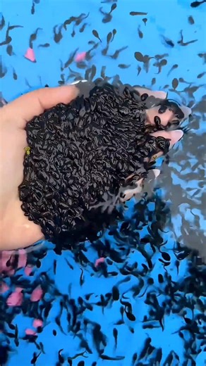 Girl Raised a Frog Army 🐸 #shorts