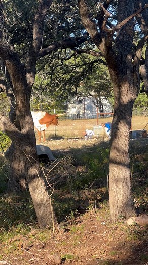 Danny Strong on Reels