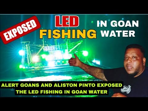 EXPOSED! LED FISHING IN GOAN WATER EXPOSED WITH PROOF BY ALERT GOANS AND ALISTON PINTO #alertgoans