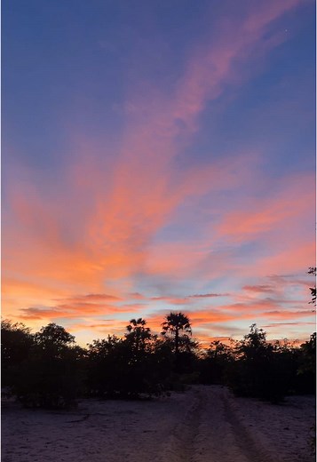 How to Remove Lash Extensions at Home Easily