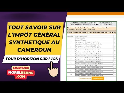 Everything you need to know about the general synthetic tax in Cameroon
