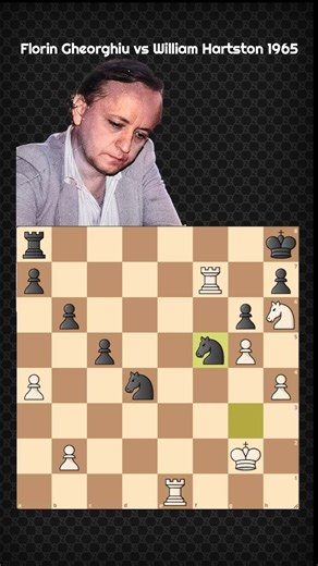 Florin Gheorghiu vs William Hartston 1965 #chess | Chess Legends 24