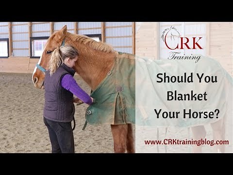 When to Blanket Your Horse