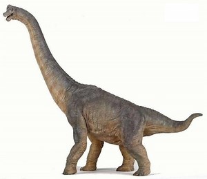 Brachiosaurus - Alchetron, The Free Social Encyclopedia
