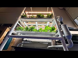 How to build a 2nd level on garage NFT hydroponic system