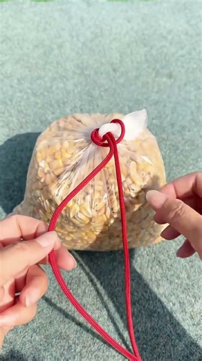 This is a slip knot / drawstring knot setup (often used as a quick cinch closure for plastic bags).