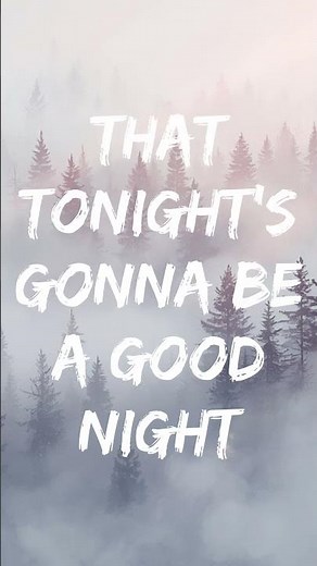 Black Eyed Peas - I Gotta Feeling (Lyrics)