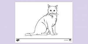 Cat Colouring Page
