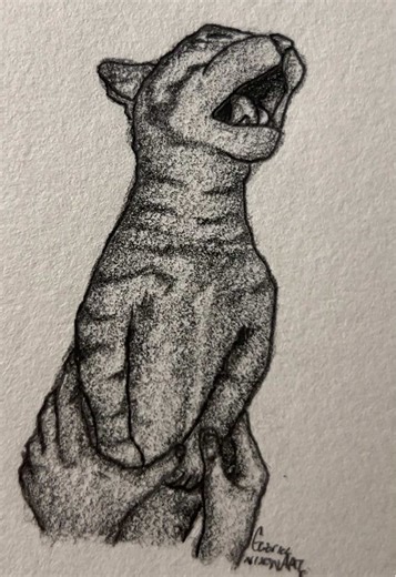 Art of a Sad Cat