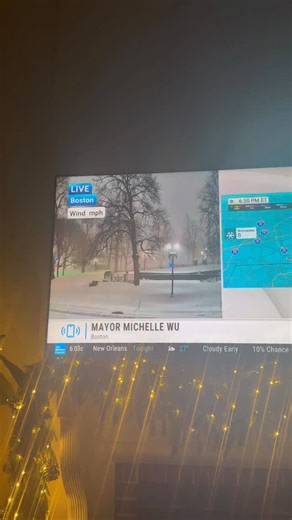 Meanwhile, on Boston Common 😂 📹: @ninaames | The Boston Calendar