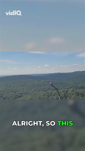Epic NYC Skyline View from Appalachian Trail!