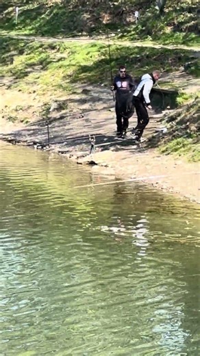 Fische beißen #fishing #angeln