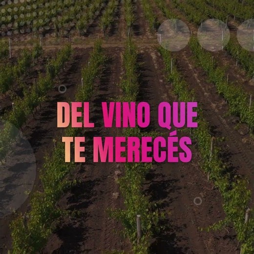 El vino que te merecés está en CyberWine 2026 | Más de 50 bodegas online