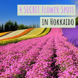 48K views · 1.3K reactions | Hokkaido has a well-earned reputation as a snowy haven for winter sports enthusiasts, but it's also an incredible destination for flower fans who want to explore the great outdoors! Discover more at https://bit.ly/2EADbyC. | Visit Japan International | Facebook