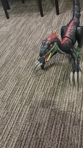 Watch Moves in all directions well on Amazon Live