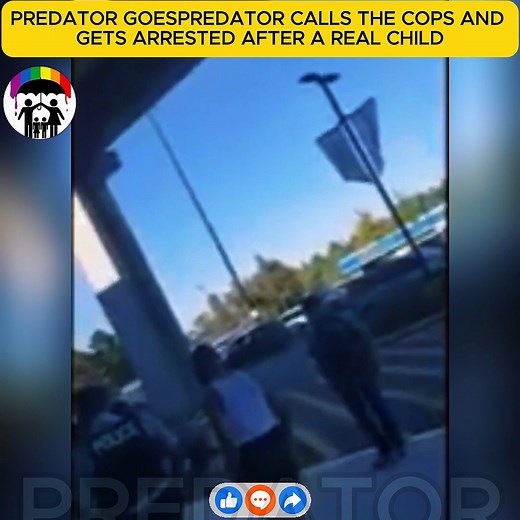 28K views · 741 reactions | Predator calls the cops and gets arrested | Maga collection shop | Facebook