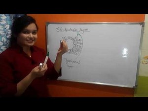 Electro-double layer and Zeta-potential in English by Roopal