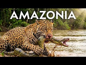 AMAZONIA | La Selva Más Salvaje y Peligrosa del Planeta | Documental Animal 4К