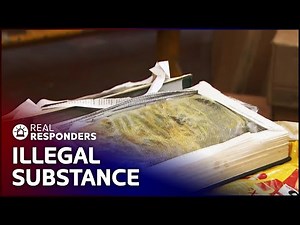 Officer Discovers Books Laced With Illegal Substance | Customs | Real Responders