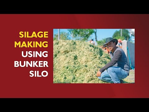 SILAGE MAKING USING BUNKER SILO (with ENGLISH SUBTITLE)