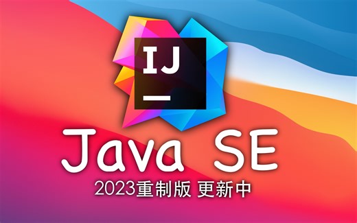 JavaSE 教程 已完结 (IDEA 2022 最新版) 4K蓝光画质+杜比音效 零基础入门一套搞定 入门到入土