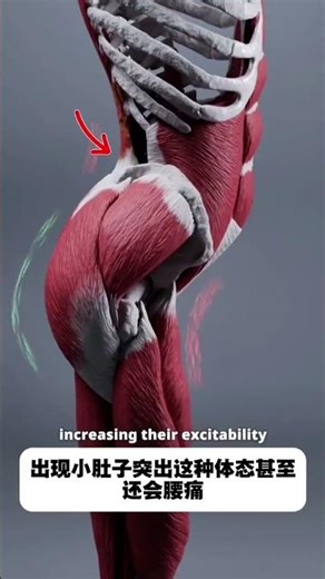 Hip Flexor Stretches Without Machines - Easy at Home! (中文标题：无器械髋屈肌拉伸 - 家庭简单操作