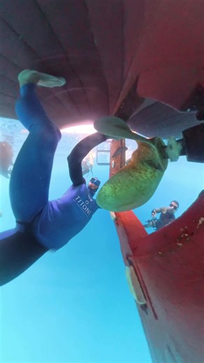 Cleaning up for the competition 🤘#underwater #diving #freediving