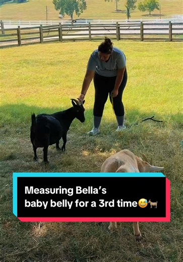 Measuring Bella’s baby belly for a 3rd time