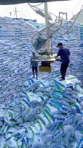 Automated Bag Loading System in Action Maximizing Warehouse Efficiency