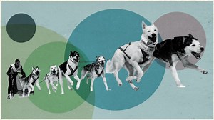 Forgotten Winter Olympic sports: Sled dog racing