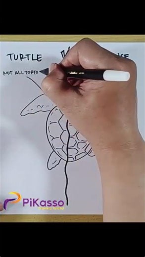 How to Draw Tortoise vs Turtle in Less Than One Minutes