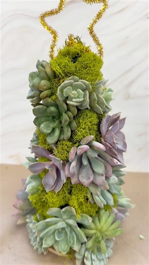 Freshen up your holiday decor with our Succulent Tree. A unique, greenery-filled centerpiece for the season! 🎄 Want to make it a group experience? Book it as a private event for your holiday celebration. #SucculentTree #HolidayDecor #decor #christmas #DIYChristmas #holiday #diy #diycrafts #crafting #winter #diydecor #festive #holidayseason | The Crafty Kit