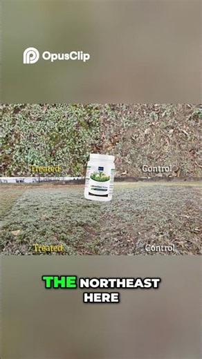 Trichoderma & Bacillus Game Changing Seed Treatments Revealed!